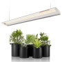 SPIDER FARMER SF600 LED Horticole Lampe Horticole à spectre complet Lampe de Croissance Plante avec 384 Leds