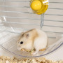 Roue Hamster 21 cm, Roue d'exercice Silencieuse pour Hamster, Roue de Course pour Chinchilla Gerbilles, Hamsters Wheel de Jouet
