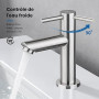 Ibergrif M18103 Mitigeur de lavabo à eau froide, monocommande pour lavabo extérieur, WC invités, acier inoxydable, finition bros