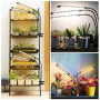 Niello 3Têtes Lampe pour Plantes, Lampe de Plante en Croissance, Auto - on/off 3/9/12H, Spectre Complet Lampe LED Horticole pour