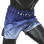 Fairtex Short de Boxe d'entraînement pour Homme Arts Martiaux