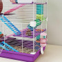 PawHut Cage pour Hamster Rongeur 4 étages avec Tunnels mangeoire Roue Maison échelles dim. 46L x 30l x 58H cm Violet