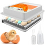 Okköbi OBI-36 Couveuse Automatique – Incubateur à œufs pour 36 œufs avec Retournement Automatique - Couveuse Poule pour œufs de
