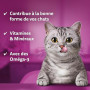 Whiskas Contrôle du Tartre Poulet Friandises pour Chats 40g Lot de 6