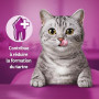 Whiskas Contrôle du Tartre Poulet Friandises pour Chats 40g Lot de 6