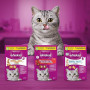Whiskas Contrôle du Tartre Poulet Friandises pour Chats 40g Lot de 6