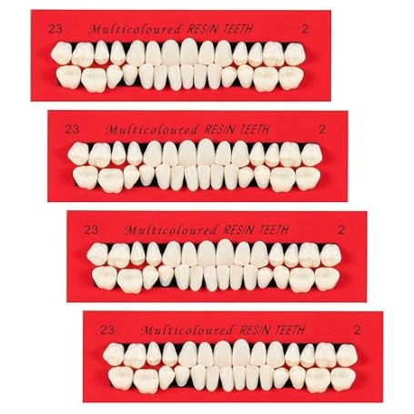 4 Pièces Fausses Dents en RéSine SynthéTique, Dent de Résine Synthétique Prothèse, 112 Dents Artificielles pour Cosplay, Remplis