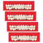 4 Pièces Fausses Dents en RéSine SynthéTique, Dent de Résine Synthétique Prothèse, 112 Dents Artificielles pour Cosplay, Remplis