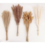 Décoration en pampas séchées, 100 pièces de pampas avec des fleurs séchées de queue de lapin, bouquet de roseaux pour les fleurs