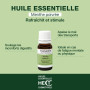 PRANARÔM - Menthe Poivrée - Huile Essentielle Chémotypée - Digestion & Tonus - 100% Pure Et Naturelle - HECT - 10 ml
