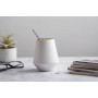 ORIGEENS CALEBASSE MATÉ - Conditionné en France - Kit Mate Complet avec Tasse Maté Céramique Artisanale (Portugal), Bombilla, Ye
