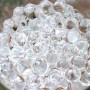 comforder – Perles d’Eau Transparentes – 10 000 Billes pour Plantes & Vases – Non Toxiques & Biodégradables