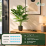 Der Rose Plantes Artificielles Interieur Monstera en Pot,71cm Fausse Plante Idéal pour la Décoration de Salon, Chambre, Bureau e