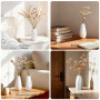 JBER Lot de 12 Petits Vases Décoratifs - 13 cm Vase Blanc en Céramique Mate pour Herbe de la Pampa, Fleurs Séchées - Décoration 