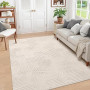 Enyhom Tapis Salon Moelleux 160 x 230 cm, Extra Epais Tapis Chambre Antidérapant Lavable en Machine,Ne Perd Pas Ses Poils, Grand