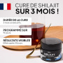 SHILAJIT TEAM NUTRITION | Résine Pure Grade Or de l’Himalaya | Haut en Acide Fulvique | Testé & Certifié En France | Énergie, Im