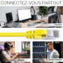 Mr. Tronic Câble Ethernet Cat 7 10m, CCA Haute Vitesse cable ethernet- Câble Réseau LAN Rond Intérieur avec Connecteurs RJ45 | 2