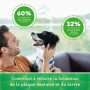 GREENIES Sticks Dentaires pour Très Petit Chien de 2 à 7kg - 258 Bâtonnets à Mâcher (6x340g) - Friandise Certifiée par des Vétér