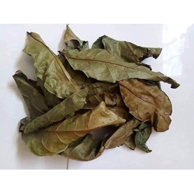 RMY Feuilles d'hysope africaine