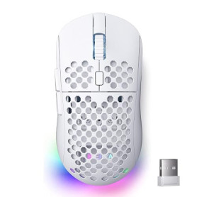 Dierya x TMKB M1 Souris de Jeu sans Fil, Capteur Optique 24 000 DPI, Léger 90g, 6 Boutons Programmables, Éclairage RGB, Autonomi