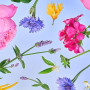 Melvita - Eau Florale, Tonifie et Rafraîchit, Pour Tous types de peau