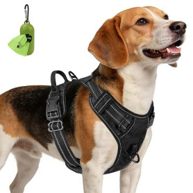 Joytale Anti-Traction Harnais Chien Taille Moyenne, Noir, M | Coupe ajustée & réglable, rembourré & confortable, 2 points d'atta