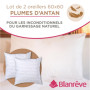 Blanrêve - Lot 2 Oreillers d'antan Plumettes & Percale Moelleux - 60x60 cm | Lot 2 Oreillers percale rayée polycoton - garnissag