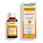 HerbalGem Propolis Concentrée Large Spectre Gouttes Bio 15 ml | Allié idéal dès les premiers signes de refroidissement, pour une