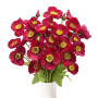 Zythrem Yumei 10PCS Coquelicots Artificiels Bouquet de Fleurs Artificielles Rouge Faux Coquelicot Deco Fausse Fleur Rouge Fleurs