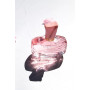 JEANNE ARTHES Cassandra Rose Intense Parfum Femme Floral & Musc 100 ml | Eau de Parfum - Flacon Vaporisateur 100 ml - Fabriqué e