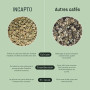 Incapto Café en Grain de Spécialité 1kg | Origine Colombie | 100% Arabica | Café de Spécialité 84 points SCA | Torréfaction Natu