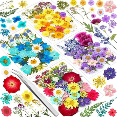 Vautvis 159 Fleurs Séchées Naturelles avec 1 Pince | Vraies Fleurs Pressées, Décoration Scrapbooking, Bougie Bricolage, Résine É