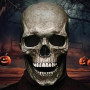 ZQEJEFD Masque de Crâne d'Halloween avec Mâchoire Mobile | Masque Halloween Adulte, Masque Tete de Mort, Masques de Squelette Ef