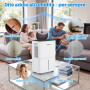 SHANNA Deshumidificateur d air 10L/J, déshumidificateur pour maison 30m² avec arrêt automatique, idéal pour, salles de bains, ch