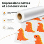 Ticfox Rouleau de Feuilles de Transfert DTF, 33 cm x 100 m Papier Transfert Pet Mat Pré-Traité, Papier de Transfert Transparent