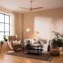 Cecotec Ventilateur de plafond EnergySilence Aero 590. 70 W, Télécommande et minuterie, faible puissance, 3 lames de diamètre 52