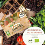 valeaf kit de graines de légumes - assortiment de semences prêt à pousser - 10 délicieuses variétés de légumes pour les enfants
