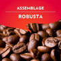 Lavazza - Il Mattino, Café Moulu, Idéal pour la Machine Filtre ou Manuelle, avec Notes Aromatiques de Fruits Secs, pour un Espre