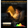 Gritin 2026 Gén.2 Lampe de Lecture, 30 LED Spectre Complet Liseuse Clip | Protection des Yeux,5Couleurs&5Luminosités, Faisceau L