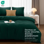 Utopia Bedding Housse de Couette 240x260 cm avec 2 Taies d'oreiller 65x65 cm (Émeraude)- Parure de Lit 240 x 260 cm - Ensembles 