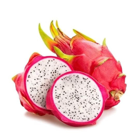 50 Graines FRUIT DU DRAGON - Pitaya BLANC - Hylocereus undatus - Fruit Fleur Jardin - 298