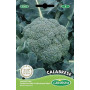 Germisem graines Chou Brocoli vert CALABRESA