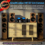 DoukAudio 600W Amplificateur 2/4 canaux : Sélecteur d'enceintes | Amplificateur numérique pour Eversolo DMP-A6 avec entrées XLR-