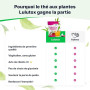 LULUTOX — Wellness Herbal Blend with Dandelion and Ginseng — Infusion for Bloating, Menopause, Weight Management and Vitality —