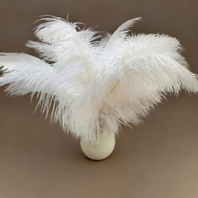 AYZDJ10 PCS Plumes D'autruche Blanches Naturelles - 25 À 30 Cm - Grandes Plumes Décoratives Et Pelucheuses Pour Centres De Table