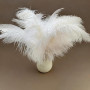AYZDJ10 PCS Plumes D'autruche Blanches Naturelles - 25 À 30 Cm - Grandes Plumes Décoratives Et Pelucheuses Pour Centres De Table