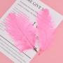 Anseom 12 Pièces Plumes d'Autruche Naturelles 20-25 cm pour Mariage, Couture, Artisanat, Costumes, Fête à Thème, Décoration de N