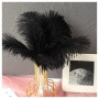 Anseom 12 Pièces Plumes d'Autruche Naturelles 20-25 cm pour Mariage, Couture, Artisanat, Costumes, Fête à Thème, Décoration de N