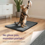 Knupis Tapis Auto-Chauffant Chat 60x45 cm Gris – Couchage Doux Anti Bruit | Renvoie la chaleur du corps sans électricité, housse