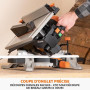 Evolution Power Tools R210MTS-G2 Scie à onglet/scie de table convertible, coupe multi-matériau, angle de biseau -47° & d'onglet
